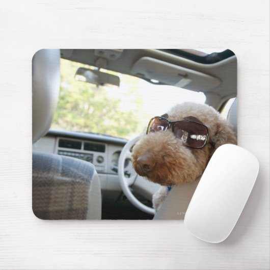 Standardpoodle 3 mousepad (Mit Mouse)