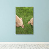 Standardpoodle 5 leinwanddruck (Insitu (Holzboden))