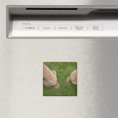 Standardpoodle Magnet (In Situ (Geschirrspüler))