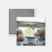 Standardpoodle Magnet (Vorderseite/Rückseite)