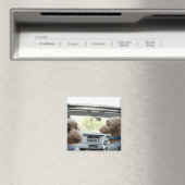 Standardpoodle Magnet (In Situ (Geschirrspüler))