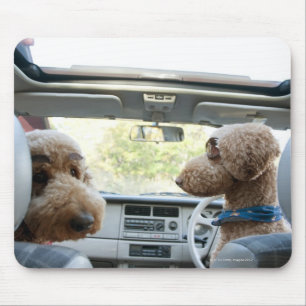 Standardpoodle Mousepad