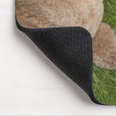 Standardpoodle Mousepad (Ecke)