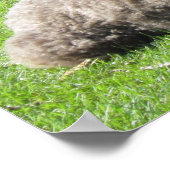 Standardposter Poster (Ecke)