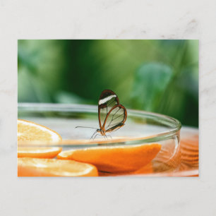 Standardpostkarte Postkarte