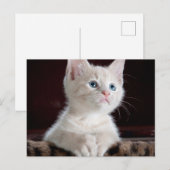 Standardpostkarte Postkarte (Vorne/Hinten)