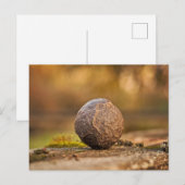 Standardpostkarte Postkarte (Vorne/Hinten)