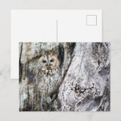 Standardpostkarte Postkarte (Vorne/Hinten)