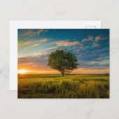 Standardpostkarte Postkarte (Vorne/Hinten)