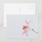 Standardpostkarte Postkarte (Vorne/Hinten)