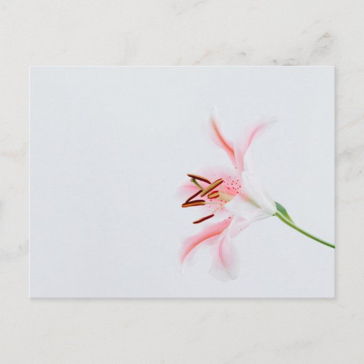 Standardpostkarte Postkarte (Vorderseite)