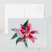 Standardpostkarte Postkarte (Vorne/Hinten)