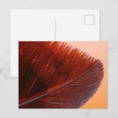 Standardpostkarte Postkarte (Vorne/Hinten)
