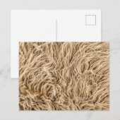 Standardpostkarte Postkarte (Vorne/Hinten)