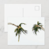 Standardpostkarte Postkarte (Vorne/Hinten)