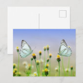 Standardpostkarte Postkarte (Vorne/Hinten)