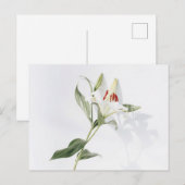 Standardpostkarte Postkarte (Vorne/Hinten)