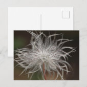 Standardpostkarte Postkarte (Vorne/Hinten)