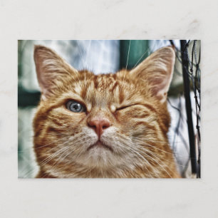 Standardpostkarte Postkarte