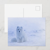 Standardpostkarte Postkarte (Vorne/Hinten)