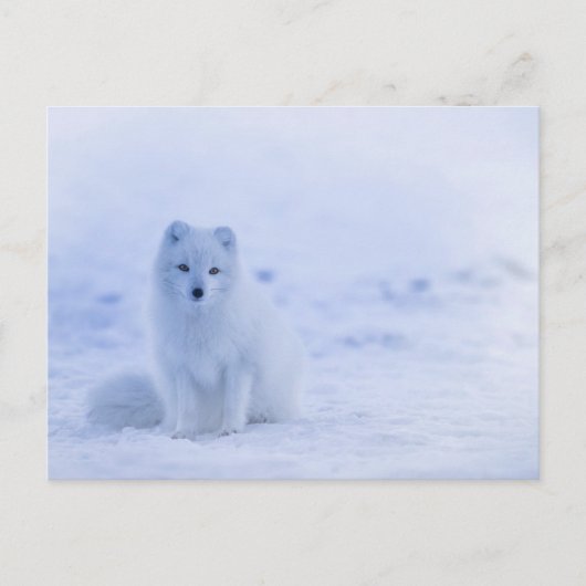 Standardpostkarte Postkarte (Vorderseite)