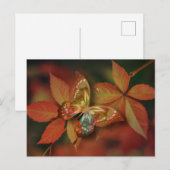Standardpostkarte Postkarte (Vorne/Hinten)