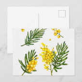 Standardpostkarte Postkarte (Vorne/Hinten)