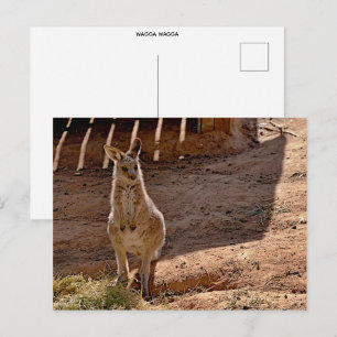 Standardpostkarte Postkarte