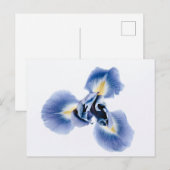 Standardpostkarte Postkarte (Vorne/Hinten)