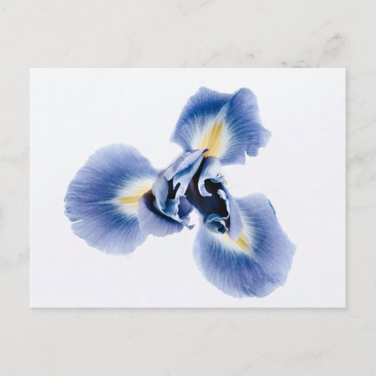 Standardpostkarte Postkarte (Vorderseite)