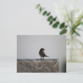 Standardpostkarte Postkarte (Stehend Vorderseite)