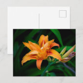 Standardpostkarte Postkarte (Vorne/Hinten)