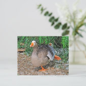 Standardpostkarte Postkarte (Stehend Vorderseite)