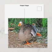 Standardpostkarte Postkarte (Vorne/Hinten)