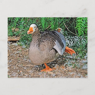 Standardpostkarte Postkarte