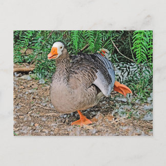 Standardpostkarte Postkarte