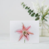 Standardpostkarte Postkarte (Stehend Vorderseite)