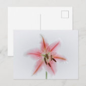 Standardpostkarte Postkarte (Vorne/Hinten)