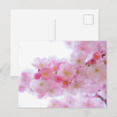 Standardpostkarte Postkarte (Vorne/Hinten)