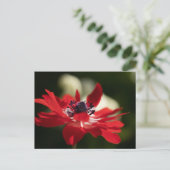 Standardpostkarte Postkarte (Stehend Vorderseite)