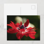 Standardpostkarte Postkarte (Vorne/Hinten)