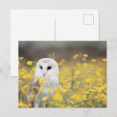 Standardpostkarte Postkarte (Vorne/Hinten)