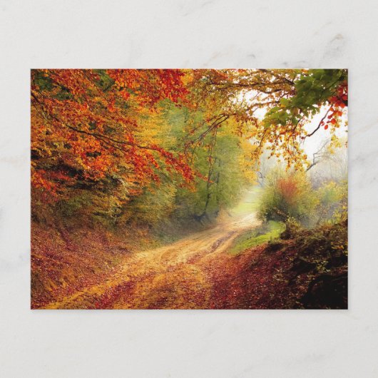 Standardpostkarte Postkarte (Vorderseite)
