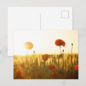 Standardpostkarte Postkarte (Vorne/Hinten)