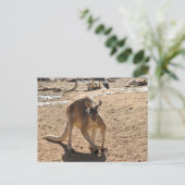 Standardpostkarte Postkarte (Stehend Vorderseite)