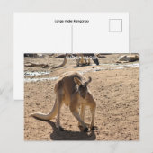 Standardpostkarte Postkarte (Vorne/Hinten)