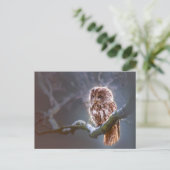 Standardpostkarte Postkarte (Stehend Vorderseite)
