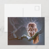 Standardpostkarte Postkarte (Vorne/Hinten)