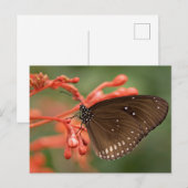 Standardpostkarte Postkarte (Vorne/Hinten)