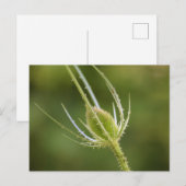 Standardpostkarte Postkarte (Vorne/Hinten)